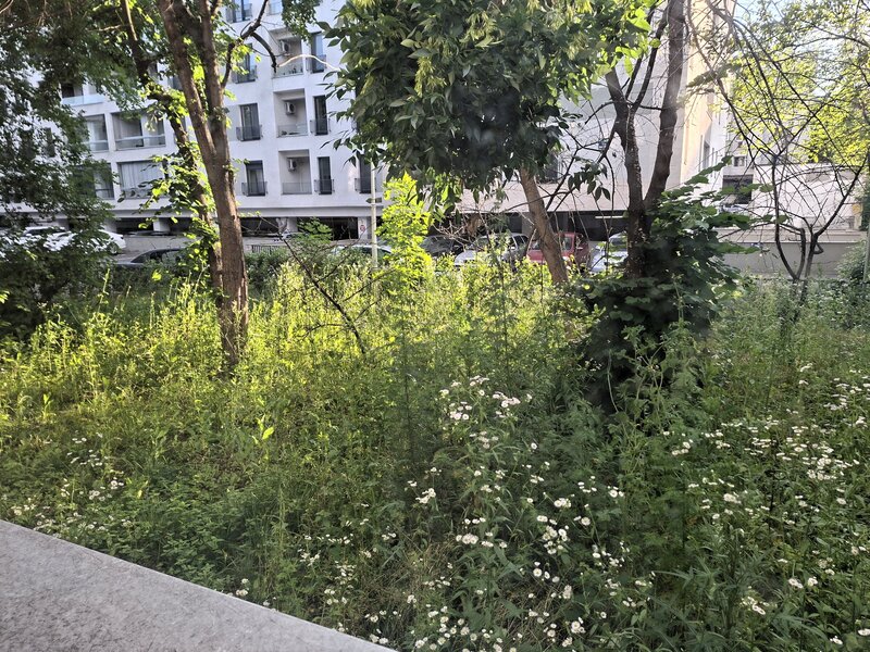 Aviatiei, Herastrau - comision 0%!